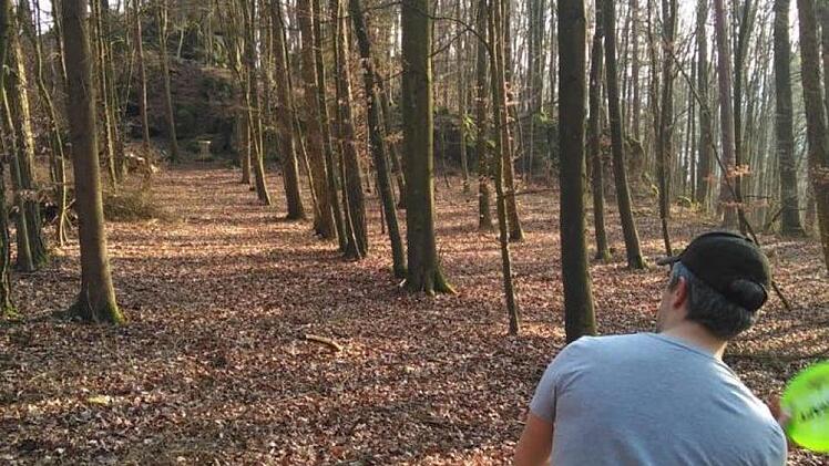 Eine Körbe der Gößweinsteiner Disc-Golf-Anlage stehen im Wald. Foto: privat