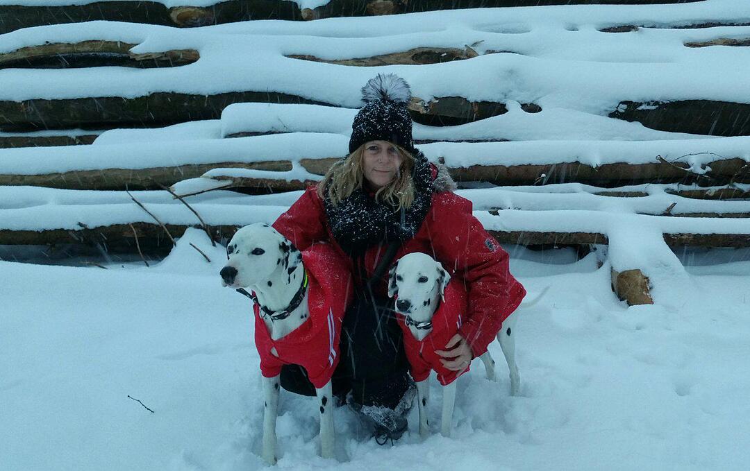 Schnee und Eis - Die schönsten Aufnahmen aus Franken