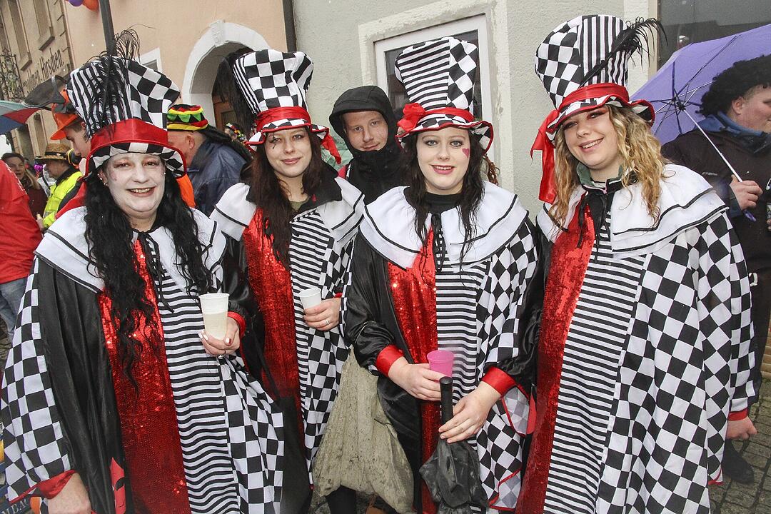 Narrentreiben in Stadtsteinach 2024