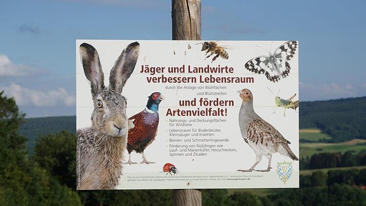 Gemeinsam werten Landwirte und Jäger die Lebensräume der  Kulturlandschaft durch lebensraumverbessernde Maßnahmen ökologisch auf.   Foto: Marion Eckert