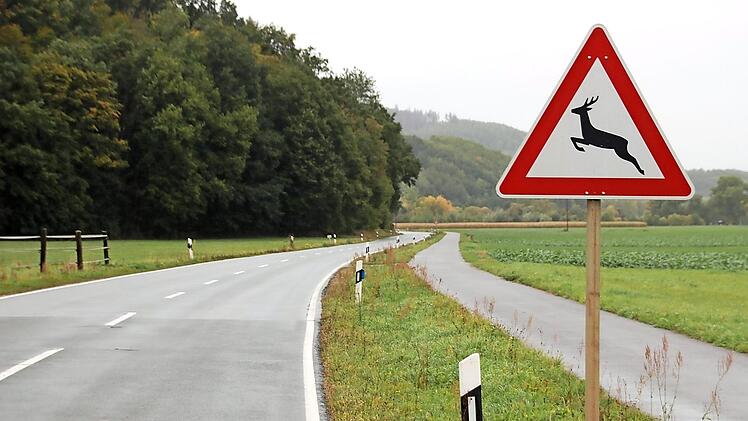 Ein Unfallschwerpunkt ist die Straße zwischen Oberbrunn-Döringstadt.
