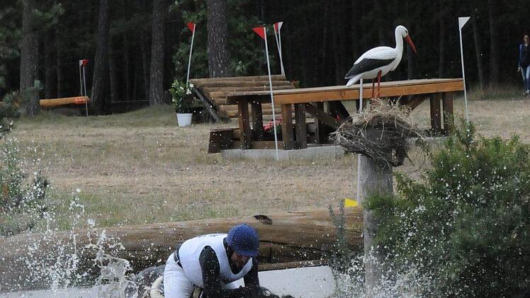 Impressionen vom Reitturnier auf der Steige. Foto: ssp