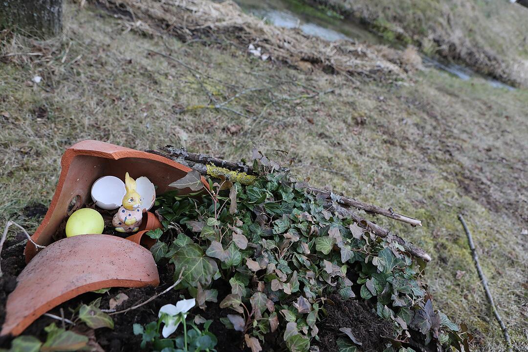 Frühling in Franken: Das Leben erwacht