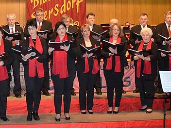 Der Gesangverein Ebersdorf bei Ludwigsstadt gehört zu den vielen Chören, die bei den Benefizkonzerten mitwirken. Foto: K.-H. Hofmann/Archiv