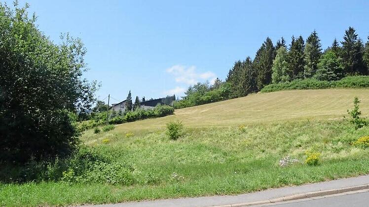 Für dieses ein Hektar große Grundstück, den "Metzgersberg" an der Kreuzung Frankenstraße, Bergstraße, Wiesenweg, soll ein Bebauungsplan aufgestellt werden.  Foto: K.- H. Hofmann