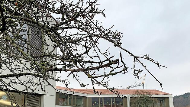 Ein Blick auf den Pausenhof und einen Teil des Schulgeb&auml;udes, das mitten in der Natur liegt.