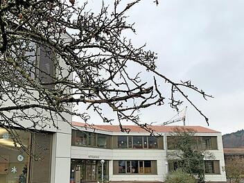 Ein Blick auf den Pausenhof und einen Teil des Schulgebäudes, das mitten in der Natur liegt.