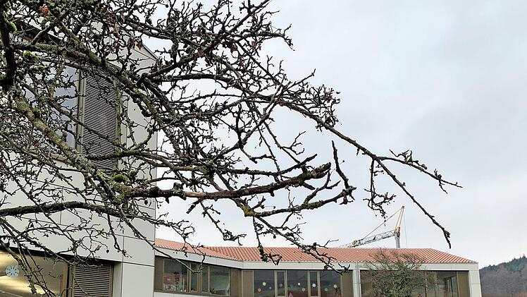 Ein Blick auf den Pausenhof und einen Teil des Schulgebäudes, das mitten in der Natur liegt.