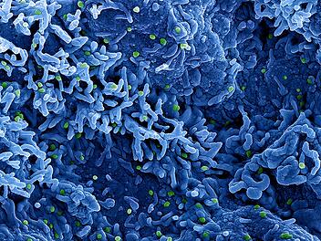 Neue Mpox-Variante grassiert: WHO ruft weltweite Notlage aus