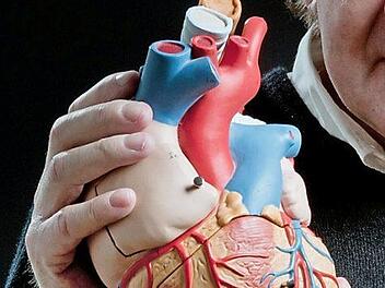 Rund um das Herz dreht sich alles am Montag. Foto: Toibias Hase/dpa