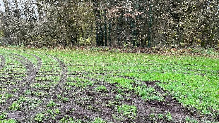 Zeil am Main: Unbekannte Vandalierer driften über Spielplatz - "Ist eine Schweinerei"