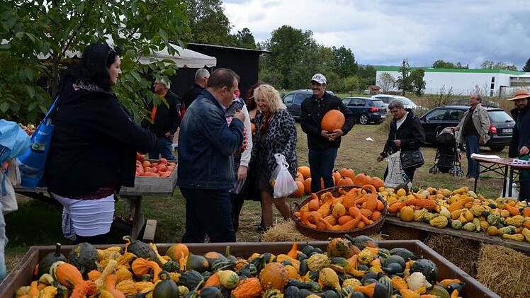 Eindrücke vom Kürbisfest in Altendorf. Foto: Andrea Spörlein