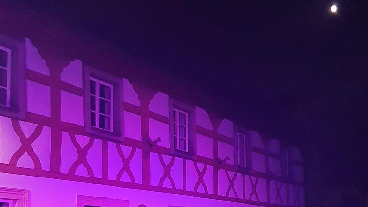Die Närrinnen vor dem Rathaus Foto: Carmen Schwind