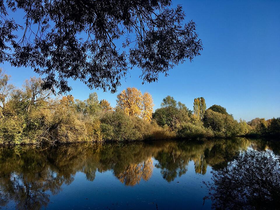 Die schönsten Herbstfotos aus Haßfurt und Umgebung