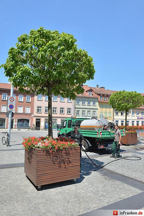So genießt Franken den Sommer