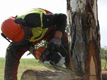 Tobias Muth                      übt an einem Baumstamm den richtigen Schnitt.   Foto: Arkadius Guzy