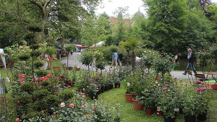 Am vergangenen Wochenende verwandelte sich der Park des Wasserschlosses Mitwitz beim 5. Fränkischen Gartenfest in ein Blütenmeer und Gartenparadies. Foto : Herbert Fischer
