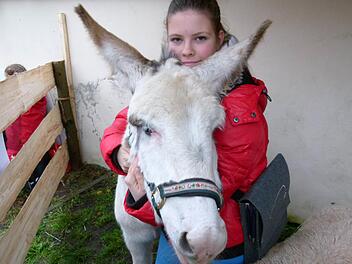 Eselin Emma ließ die Liebesbekundungen ihrer Besitzerin Amy Deuber geduldig zu. Fotos: Marion Krüger-Hundrup