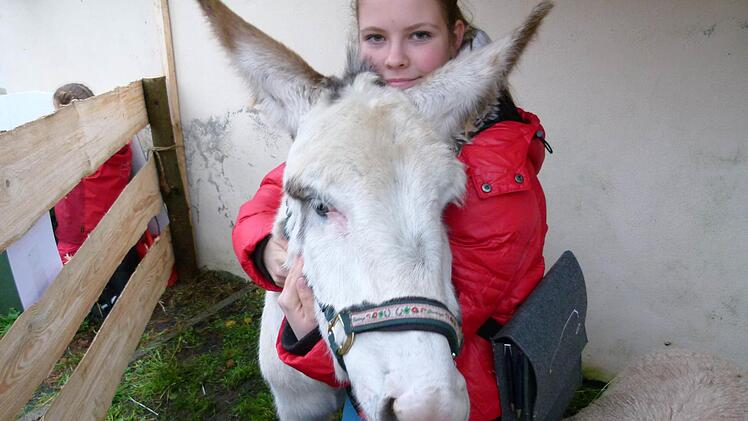 Eselin Emma ließ die Liebesbekundungen ihrer Besitzerin Amy Deuber geduldig zu. Fotos: Marion Krüger-Hundrup