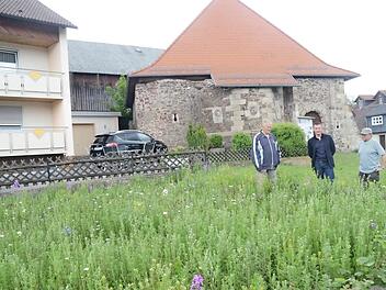Bürgermeister Stefan Heinlein (Mitte) dankte Ortsheimatpfleger Josef Beitzinger (links) für das Anlegen der Blumenwiese vor der Burg und sprach dem Idealisten hohe Anerkennung aus. Mit im Bild: Roland Münch.  Foto: Karl- Heinz Hofmann