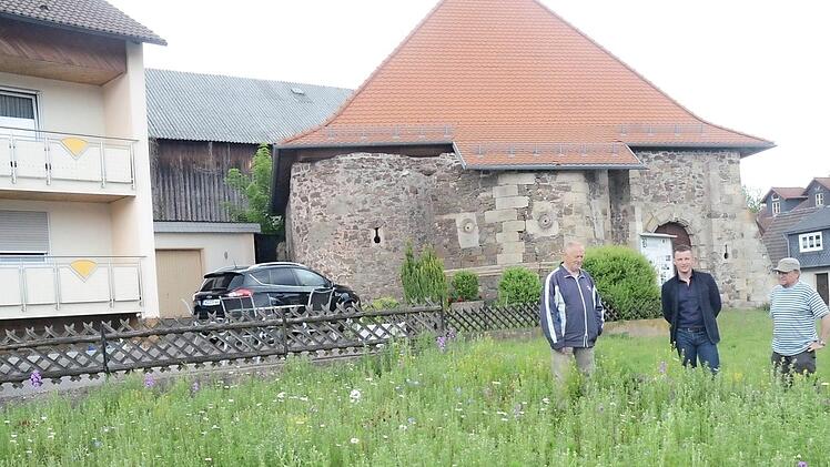 Bürgermeister Stefan Heinlein (Mitte) dankte Ortsheimatpfleger Josef Beitzinger (links) für das Anlegen der Blumenwiese vor der Burg und sprach dem Idealisten hohe Anerkennung aus. Mit im Bild: Roland Münch.  Foto: Karl- Heinz Hofmann
