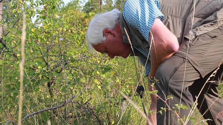 Ähnlich wie seine Fundstücke kriecht Manfred Colling schon mal über den Waldboden. "Es wurde auch schon vermutet, ich sei sturzbetrunken", sagt Manfred Colling. Er und der Biologe Tobias Gerlach suchen nach "lebenden Messinstrumenten": Schnecken. Foto: Carmen Schmitt