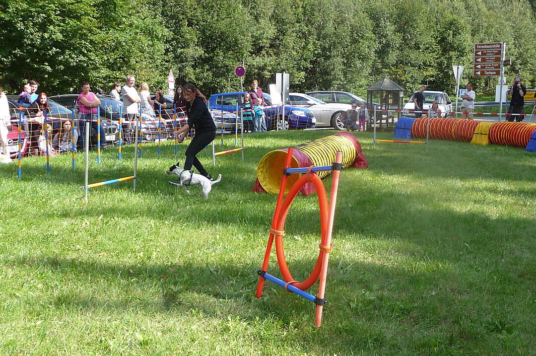 19.8.2017 Tierheimfest Kulmbach