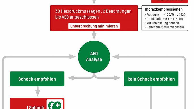 Das sollten Laien beachten, die eine Person mit Einsatz eines automatisierten externen Defibrillators (AED) reanimieren. Den Algorithmus gibt es auch zum Download auf der Internet-Seite der Initiative.