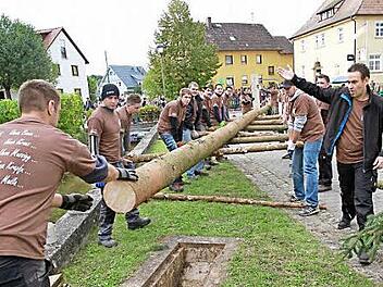Das Aufstellen des Kirchweihbaumes  Foto: Mathias Erlwein