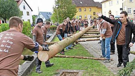 Das Aufstellen des Kirchweihbaumes  Foto: Mathias Erlwein