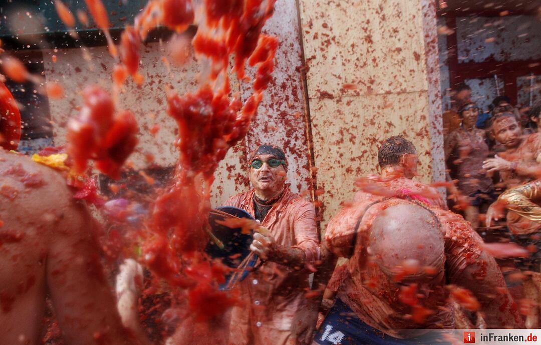 70th edition of the Tomatina