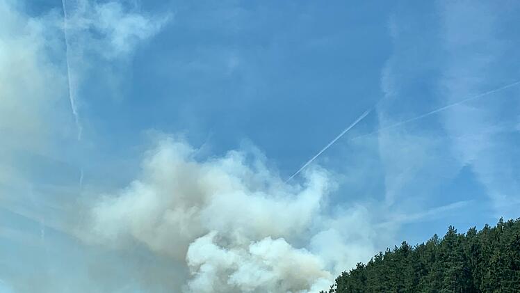 Waldbrand ruft Feuerwehr auf den Plan