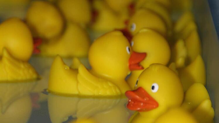 Die kleinen gelben Entchen haben einen Magneten im Bauch, auf den der Sensor reagiert.