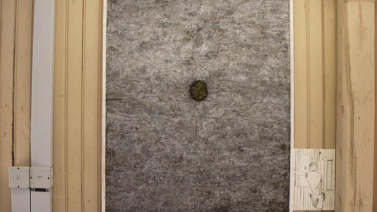 Dieses ist aus einem verlassenen Wespennest entstanden.