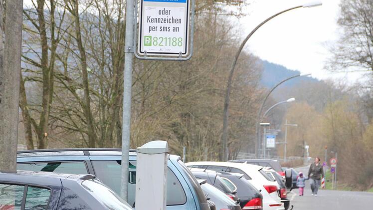 Wer parken will, muss in diesem Bereich der Bad Kissinger Au einen Parkschein lösen. Foto: Heike Beudert