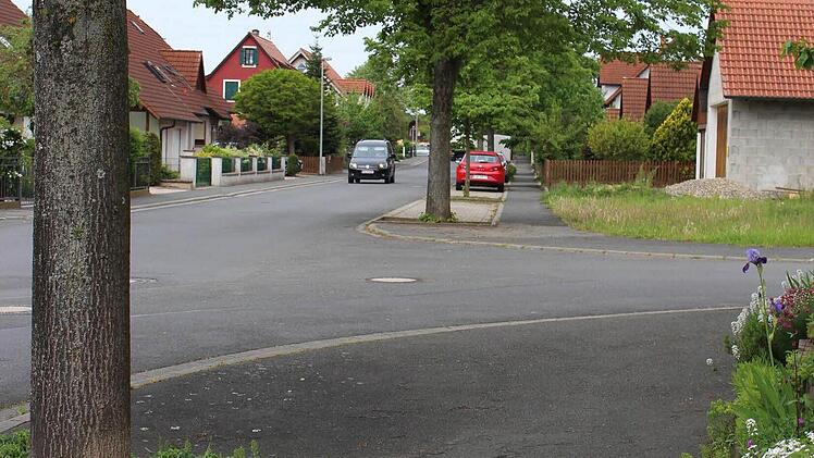 Die Schäden, die durch die Linden am Straßenrand verursacht werden, ziehen sich nicht nur über die gesamte Gehsteigbreite hin, sondern die Wurzeln arbeiten auch schon in den Gärten dahinter. Foto: Evi Seeger