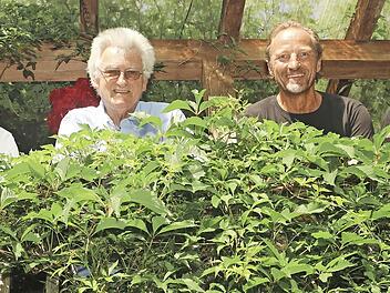 Die Kronacher „Fab Four“ spielen für den guten Zweck. Hier haben sich (von links) Gerhard Burkert-Mazur, Karlheinz Schäck, Bernd Meusel alias easy Springsteen und Martin Ludwig - angelehnt an die allerersten Beatles-LPs – auf einem Balkon platziert.