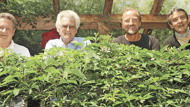 Die Kronacher „Fab Four“ spielen für den guten Zweck. Hier haben sich (von links) Gerhard Burkert-Mazur, Karlheinz Schäck, Bernd Meusel alias easy Springsteen und Martin Ludwig - angelehnt an die allerersten Beatles-LPs – auf einem Balkon platziert.