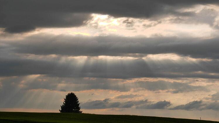 Foto: Nicolas Armer/dpa