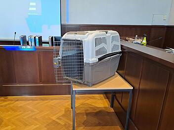 Mutter wegen Mordversuchs zu jahrelanger Haft verurteilt