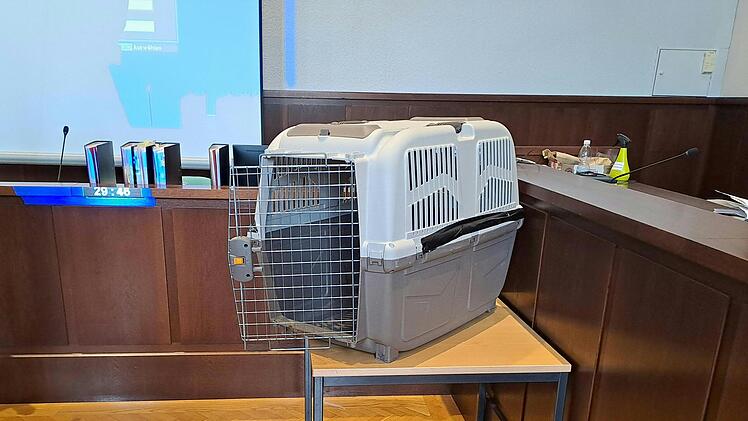 Mutter wegen Mordversuchs zu jahrelanger Haft verurteilt