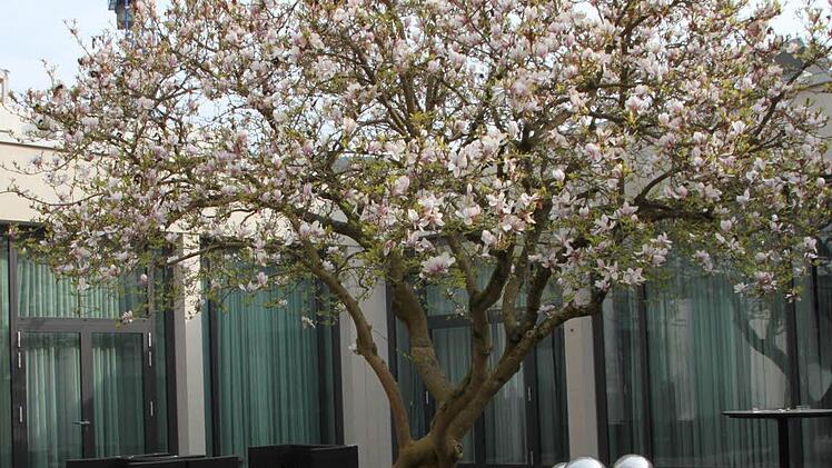 Vom Innenhof aus sieht man den Kran, der für die Generalsanierung des Park-Flügels benötigt wird. Foto: Ulrike Müller