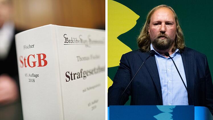 Kreis Kitzingen: Mann nennt Anton Hofreiter "bärtiges Mädchen" - und muss zahlen