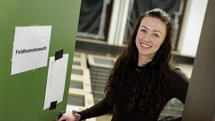 Feldhamster-Nachzucht