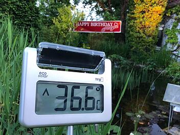 Diese Temperaturanzeige aus Stegaurach hat unser Leser Horst-Peter Müller fotografiert. Insgesamt liegen die Mai-Temperaturen deutlich über dem Mittel