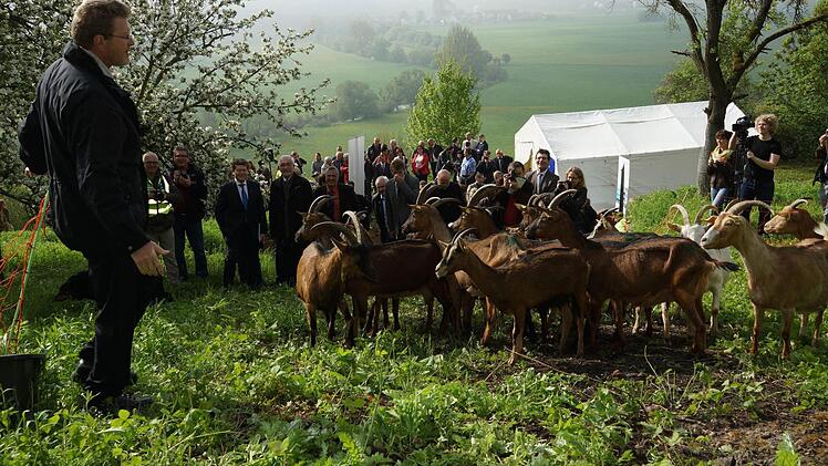 Staatsminister Marcel Huber (links) lässt die Ziegen frei