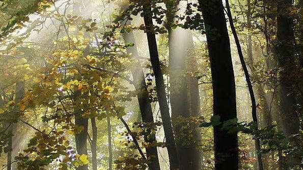 Foto: Johannes Hagen, Ort: Fränkische Schweiz