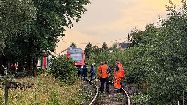 Kalchreuth: Kollision von Zug mit Baum