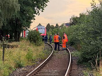 Kalchreuth: Kollision von Zug mit Baum