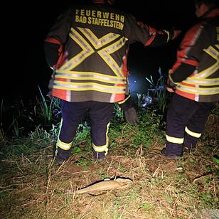 Westsee in Bad Staffelstein umgekippt